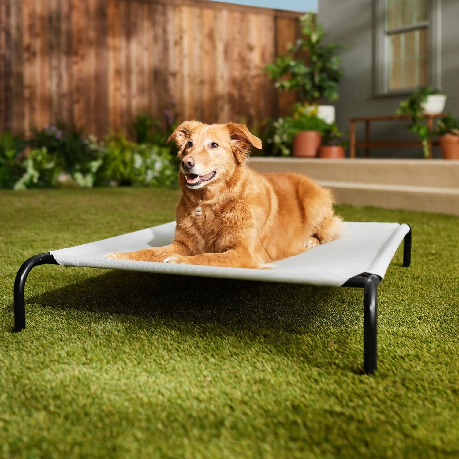 Frisco Steel-Framed Elevated Dog Bed 1 Frisco Steel-Framed Elevated Dog Bed