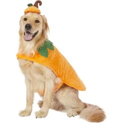Frisco Pumpkin Dog & Cat Costume 11 Frisco Pumpkin Dog & Cat Costume -Cat Dog Supply Store 144446 PT2. AC SS1800 V1567174700