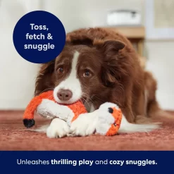 Frisco Fox Skinny Plush Squeaky Dog Toy -Cat Dog Supply Store 147049 PT5. AC SS1800 V1691776638