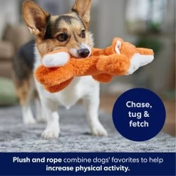 Frisco Fox Plush With Inside Rope Squeaky Dog Toy 10 Frisco Fox Plush With Inside Rope Squeaky Dog Toy -Cat Dog Supply Store 147065 PT4. AC SS1800 V1695671059