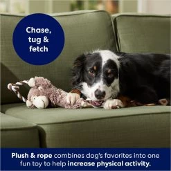 Frisco Monkey Plush With Rope Squeaky Dog Toy -Cat Dog Supply Store 147067 PT4. AC SS1800 V1686079871