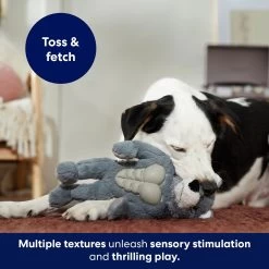 Frisco Wolf Muscle Plush Squeaky Dog Toy -Cat Dog Supply Store 147082 PT5. AC SS1800 V1691776574