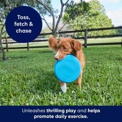 Frisco Fetch Rubber Flyer Dog Toy -Cat Dog Supply Store 152848 PT5. AC SS1800 V1692370079