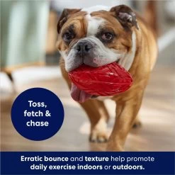 Frisco Football TPR Squeaky Dog Toy -Cat Dog Supply Store 154412 PT3. AC SS1800 V1686578718