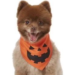 Frisco Jack O' Lantern Pumpkin Dog & Cat Bandana -Cat Dog Supply Store 158934 PT2. AC SS1800 V1690828662