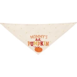 Frisco Mommy's Lil Pumpkin Dog & Cat Bandana -Cat Dog Supply Store 158936 PT3. AC SS1800 V1689628812