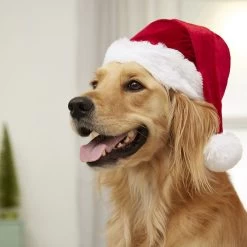 Frisco Holiday Dog & Cat Santa Hat, 1 Count -Cat Dog Supply Store 160054 PT4. AC SS1800 V1637650626
