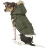 Frisco Mid-Heavyweight Portland Insulated Dog & Cat Parka