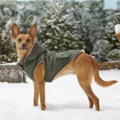Frisco Mid-Heavyweight Portland Insulated Dog & Cat Parka -Cat Dog Supply Store 160295 PT7. AC SS1800 V1567618265
