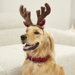 Frisco Holiday Antler Headband & Bell Collar Dog & Cat Costume 8 Frisco Holiday Antler Headband & Bell Collar Dog & Cat Costume -Cat Dog Supply Store 160658 PT4. AC SS1800 V1568818037