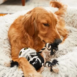 Frisco Halloween Skeleton Plush With Rope Squeaky Dog Toy -Cat Dog Supply Store 161358 PT6. AC SS1800 V1597599370