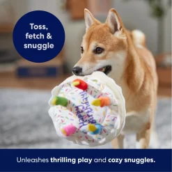 Frisco Birthday Cake Plush Squeaky Dog Toy -Cat Dog Supply Store 162839 PT4. AC SS1800 V1695671061