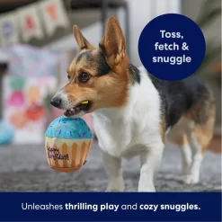 Frisco Birthday Cupcake Plush Squeaky Dog Toy -Cat Dog Supply Store 162847 PT4. AC SS1800 V1695659216