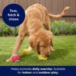 Frisco Birthday Fetch Squeaky Tennis Ball Dog Toy -Cat Dog Supply Store 162914 PT3. AC SS1800 V1692019914