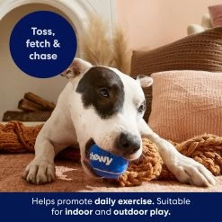 Frisco Chewy Fetch Squeaky Tennis Ball Dog Toy -Cat Dog Supply Store 164314 PT3. AC SS1800 V1691783970