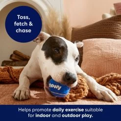 Frisco Chewy Fetch Squeaky Tennis Ball Dog Toy -Cat Dog Supply Store 164314 PT5. AC SS1800 V1691783910