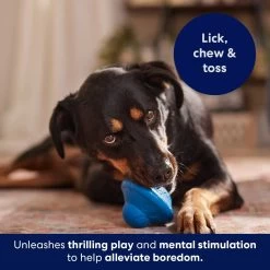 Frisco Flying Saucer Rubber Treat Dispenser Dog Toy -Cat Dog Supply Store 164757 PT5. AC SS1800 V1691784247