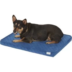 Frisco Quilted Orthopedic Pillow Cat & Dog Bed W/Removable Cover -Cat Dog Supply Store 165196 PT2. AC SS1800 V1568726226