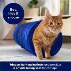 Frisco Foldable Play Tunnel With Mesh Cat Toy -Cat Dog Supply Store 166385 PT2. AC SS1800 V1686580143