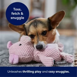 Frisco Pig Textured Plush Squeaky Dog Toy -Cat Dog Supply Store 174695 PT4. AC SS1800 V1695670689