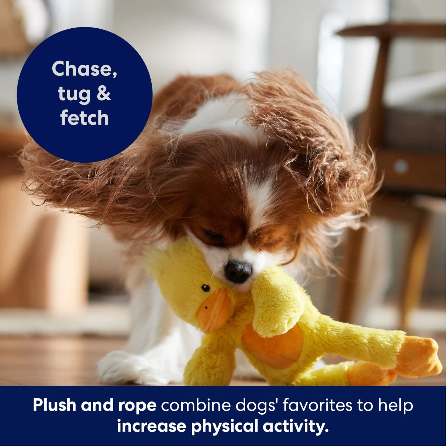 Frisco Duck Plush With Inside Rope Squeaky Dog Toy 5 Frisco Duck Plush With Inside Rope Squeaky Dog Toy - Image 5