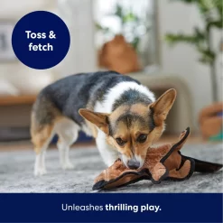 Frisco Beaver Stuffing-Free Flat Plush Squeaky Dog Toy -Cat Dog Supply Store 174729 PT4. AC SS1800 V1695671063