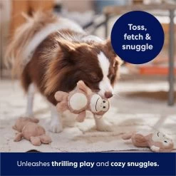 Frisco Monkeys In Tree Hide & Seek Puzzle Plush Squeaky Dog Toy Refills -Cat Dog Supply Store 174768 PT5. AC SS1800 V1691784249