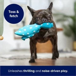 Frisco Dinosaur Latex Squeaky Dog Toy -Cat Dog Supply Store 174770 PT3. AC SS1800 V1686579138