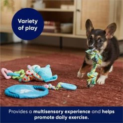 Frisco Little Friends Plush, Flyer & TPR Variety Pack Dog Toy -Cat Dog Supply Store 177816 PT5. AC SS1800 V1691783909