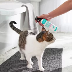 Frisco Aloe Hydrating Dog & Cat Spray, Sweet Nectar Scent -Cat Dog Supply Store 192084 PT4. AC SS1800 V1589487682