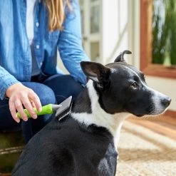 Frisco Soft Slicker Dog Brush, One Size 6 Frisco Soft Slicker Dog Brush, One Size -Cat Dog Supply Store 206869 PT4. AC SS1800 V1680186388