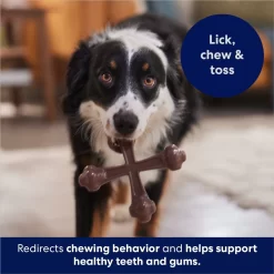 Frisco Bacon Flavor Tough Nylon Dog Chew Toy -Cat Dog Supply Store 213430 PT5. AC SS1800 V1691783968