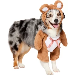 Frisco Front Walking Teddy Bear Dog & Cat Costume -Cat Dog Supply Store 215507 PT3. AC SS1800 V1624402415