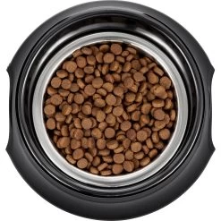 Frisco Stainless Steel Bowl With Elevated Stand -Cat Dog Supply Store 216020 PT4. AC SS1800 V1591020427