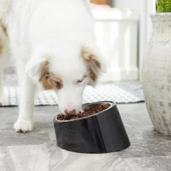 Frisco Stainless Steel Bowl With Elevated Stand -Cat Dog Supply Store 216020 PT7. AC SS1800 V1605662208