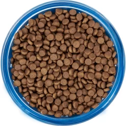 Frisco Chevron Design Glass Bowl With Silicone Sleeve 10 Frisco Chevron Design Glass Bowl With Silicone Sleeve -Cat Dog Supply Store 216049 PT4. AC SS1800 V1591020735