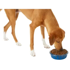 Frisco Chevron Design Glass Bowl With Silicone Sleeve 11 Frisco Chevron Design Glass Bowl With Silicone Sleeve -Cat Dog Supply Store 216049 PT6. AC SS1800 V1605654757