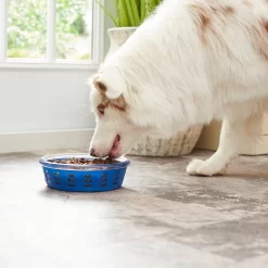 Frisco Chevron Design Glass Bowl With Silicone Sleeve 12 Frisco Chevron Design Glass Bowl With Silicone Sleeve -Cat Dog Supply Store 216049 PT7. AC SS1800 V1605664319