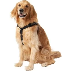Frisco Nylon Step In Back Clip Dog Harness -Cat Dog Supply Store 220519 PT2. AC SS1800 V1605591714