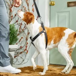 Frisco Nylon Step In Back Clip Dog Harness -Cat Dog Supply Store 220519 PT4. AC SS1800 V1605582116