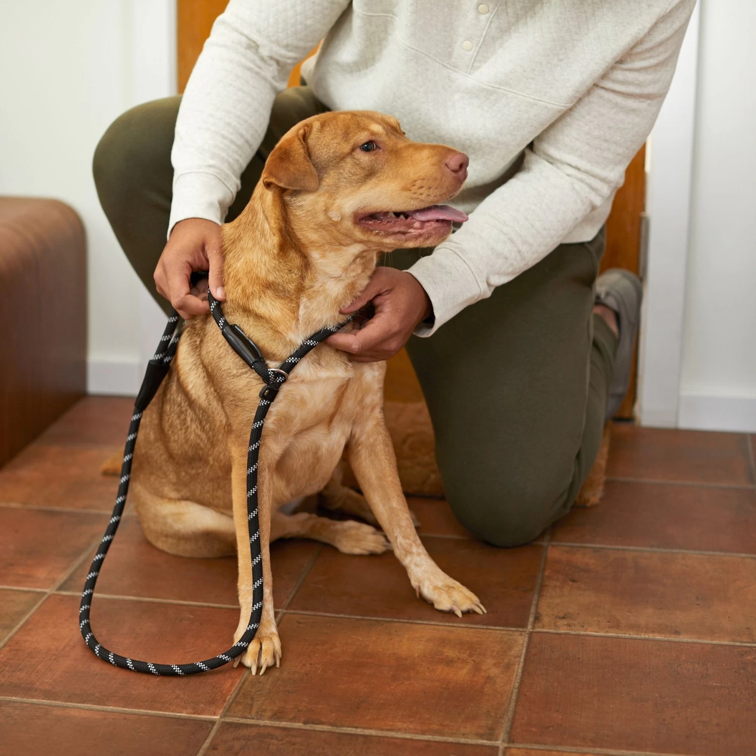 Frisco Reflective Rope Slip Lead Dog Leash 5 Frisco Reflective Rope Slip Lead Dog Leash - Image 5