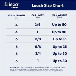 Frisco Rope Dog Leash With Padded Handle -Cat Dog Supply Store 221218 PT7. AC SS1800 V1701796765