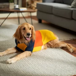Frisco Colorblock Dog & Cat Turtleneck Sweater With Sleeves -Cat Dog Supply Store 223819 PT7. AC SS1800 V1599922008