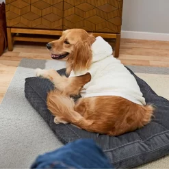 Frisco Plush Fur Dog & Cat Hoodie -Cat Dog Supply Store 224209 PT7. AC SS1800 V1637685435