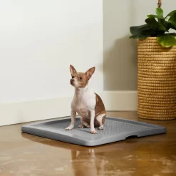 Frisco Training Pad Holder -Cat Dog Supply Store 227474 PT6. AC SS1800 V1604701643