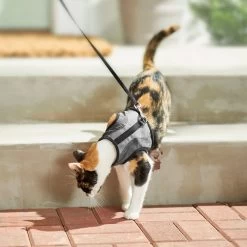 Frisco Wrap Cat Harness -Cat Dog Supply Store 230691 PT5. AC SS1800 V1601096758