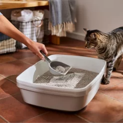 Frisco Lightweight Unscented Clumping Cat Litter -Cat Dog Supply Store 230716 PT4. AC SS1800 V1659023918