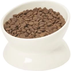 Frisco Double-Sided Ceramic Elevated Cat Bowl -Cat Dog Supply Store 232081 PT6. AC SS1800 V1684760471