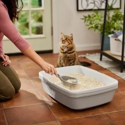 Frisco Tofu Clumping Cat Litter 11 Frisco Tofu Clumping Cat Litter -Cat Dog Supply Store 232117 PT4. AC SS1800 V1659546420