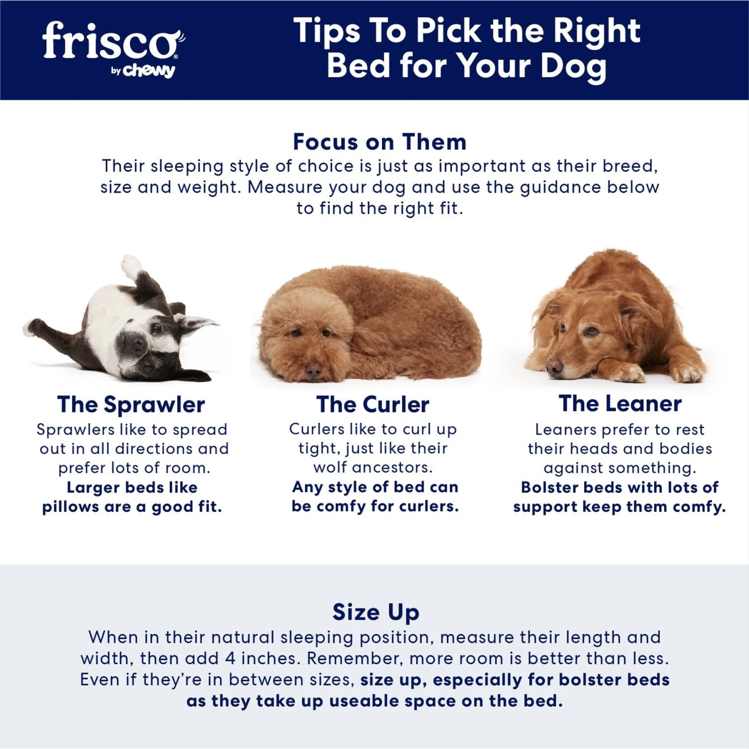 Frisco Velvet Round Bolster Dog Bed W/Removable Cover 5 Frisco Velvet Round Bolster Dog Bed W/Removable Cover - Image 5